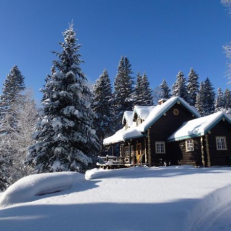 Domaine Le Bostonnais - Le Village En Bois Rond La Tuque Exterior foto
