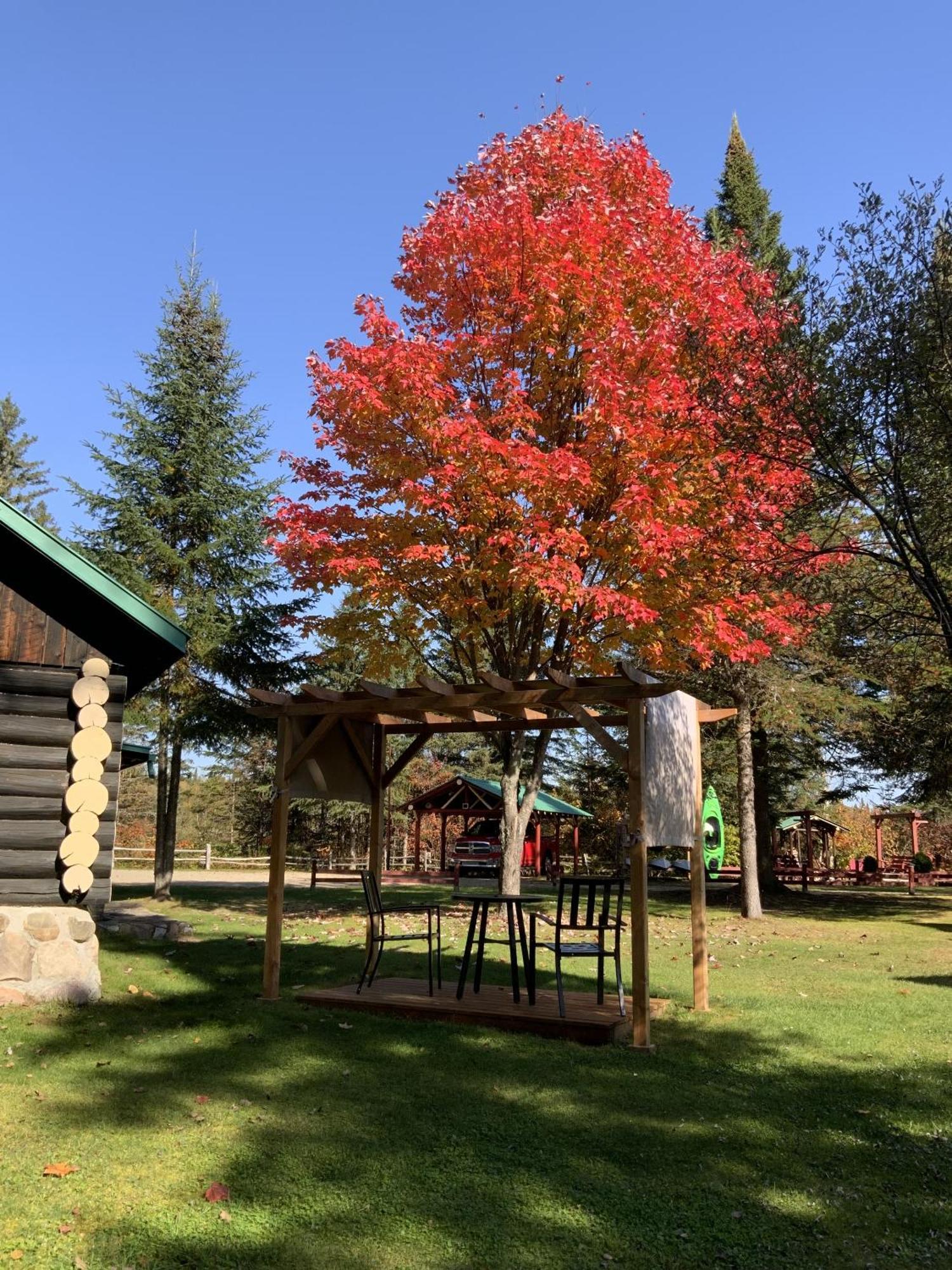 Domaine Le Bostonnais - Le Village En Bois Rond La Tuque Cameră foto