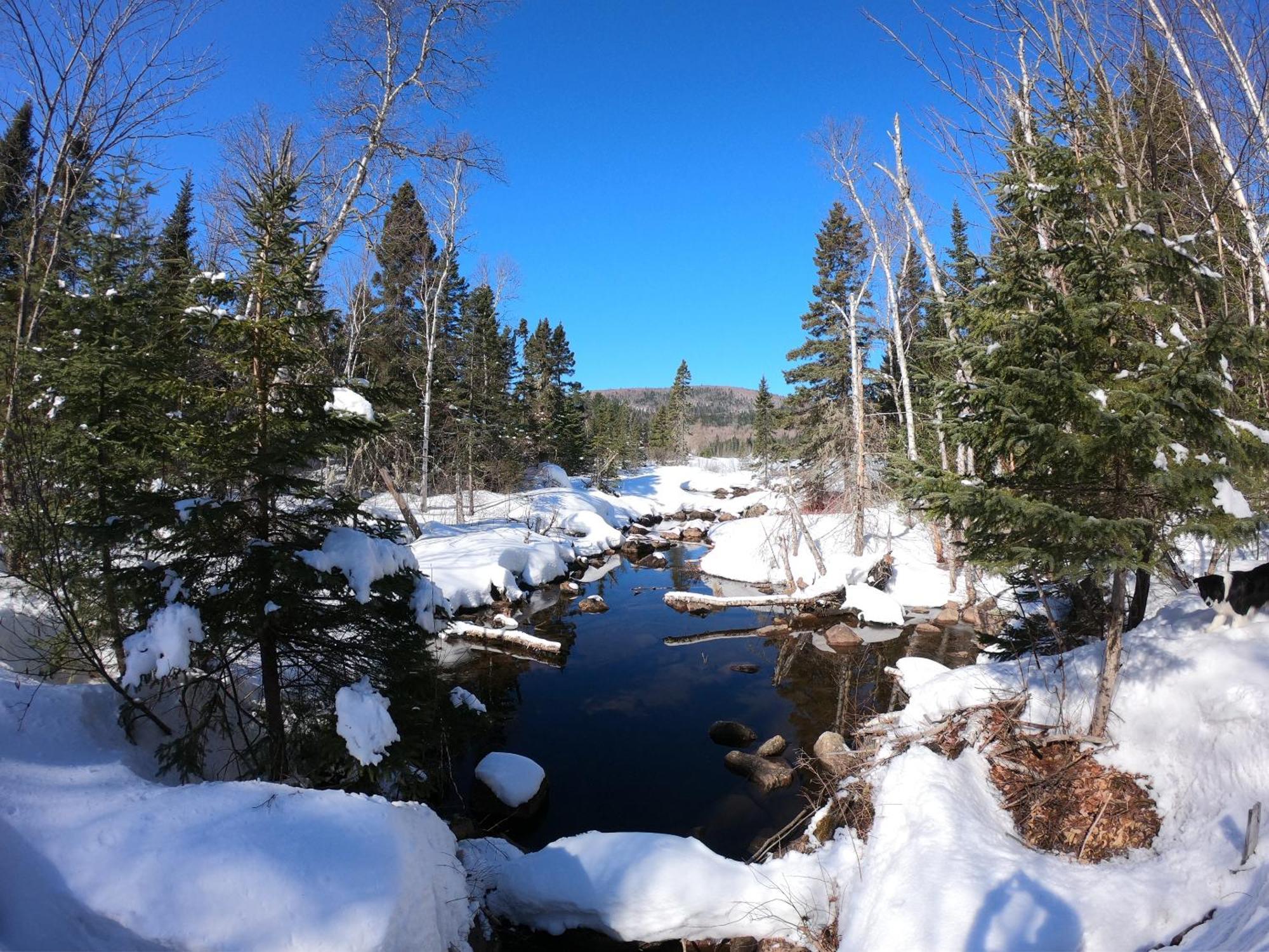 Domaine Le Bostonnais - Le Village En Bois Rond La Tuque Exterior foto