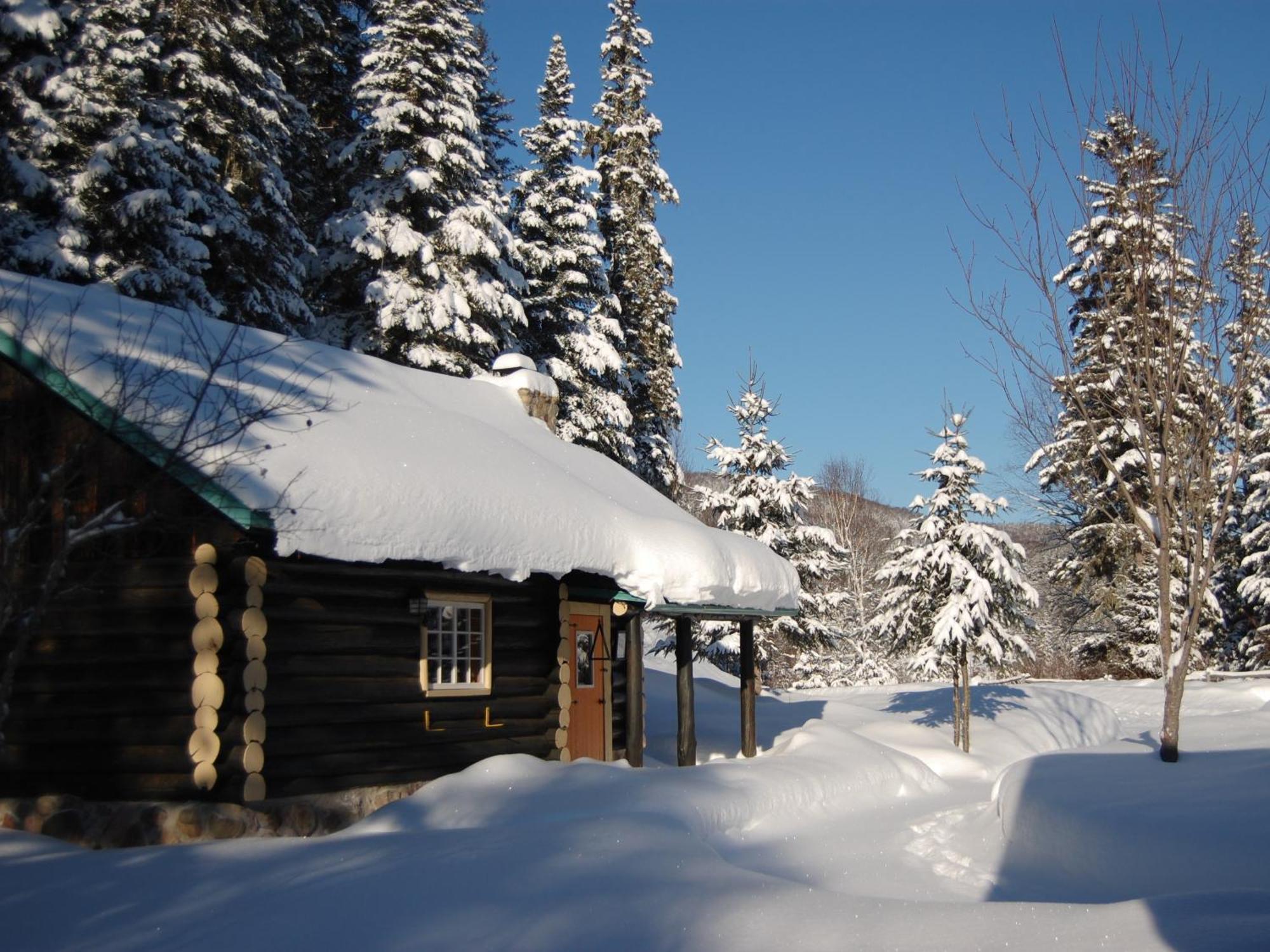 Domaine Le Bostonnais - Le Village En Bois Rond La Tuque Cameră foto