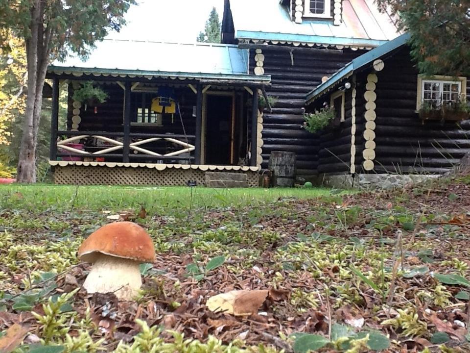 Domaine Le Bostonnais - Le Village En Bois Rond La Tuque Exterior foto